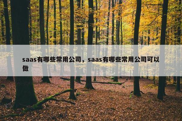 saas有哪些常用公司，saas有哪些常用公司可以做
