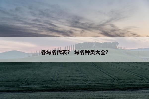 各域名代表？ 域名种类大全？