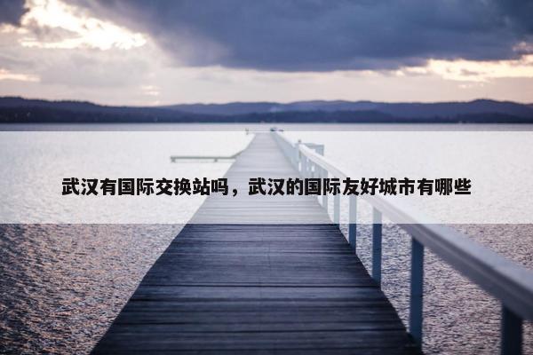 武汉有国际交换站吗，武汉的国际友好城市有哪些