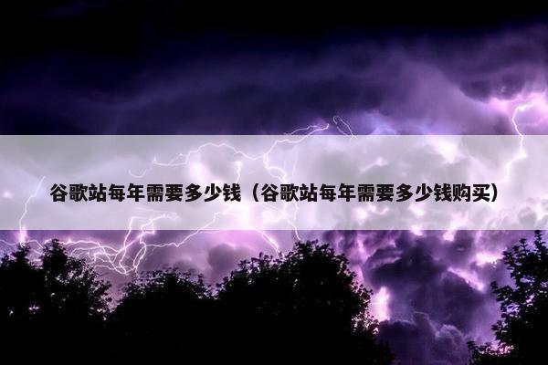 谷歌站每年需要多少钱（谷歌站每年需要多少钱购买）