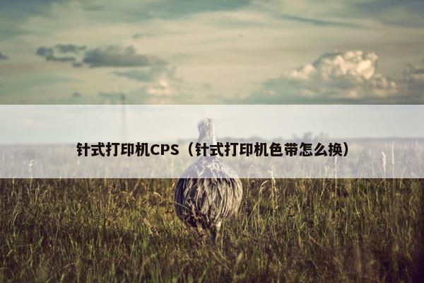 针式打印机CPS（针式打印机色带怎么换）