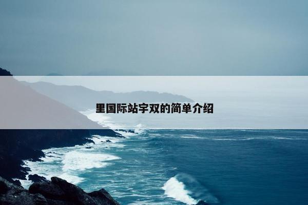 里国际站宇双的简单介绍