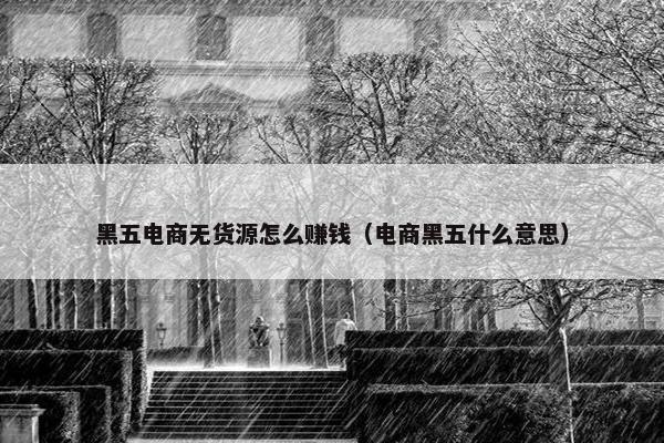 黑五电商无货源怎么赚钱（电商黑五什么意思）