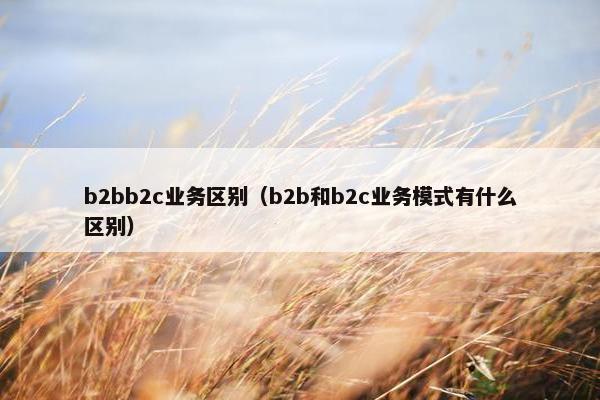 b2bb2c业务区别（b2b和b2c业务模式有什么区别）