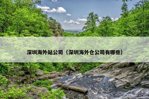 深圳海外站公司（深圳海外仓公司有哪些）