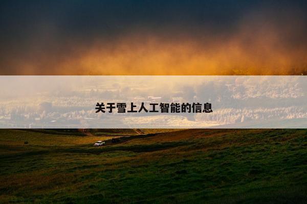 关于雪上人工智能的信息