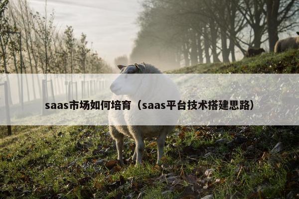 saas市场如何培育（saas平台技术搭建思路）