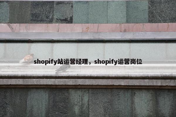 shopify站运营经理，shopify运营岗位