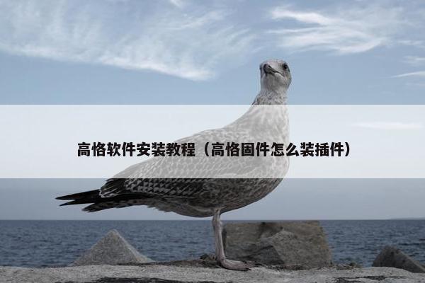 高恪软件安装教程（高恪固件怎么装插件）