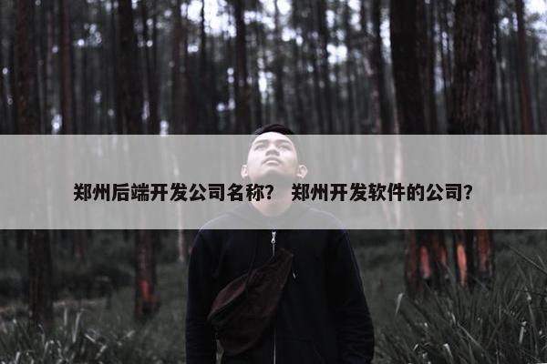 郑州后端开发公司名称？ 郑州开发软件的公司？