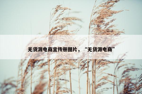 无货源电商宣传册图片，“无货源电商”