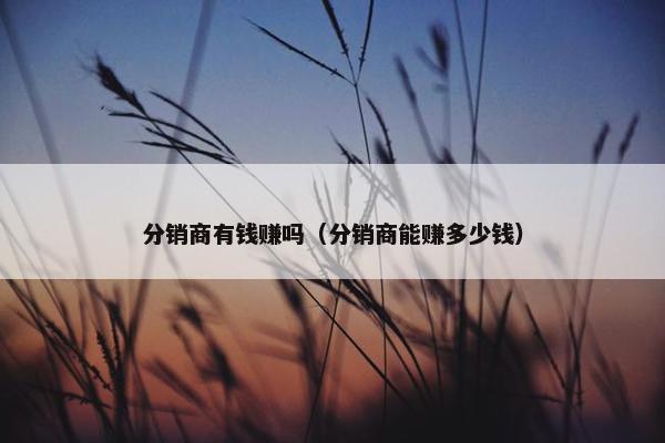 分销商有钱赚吗（分销商能赚多少钱）