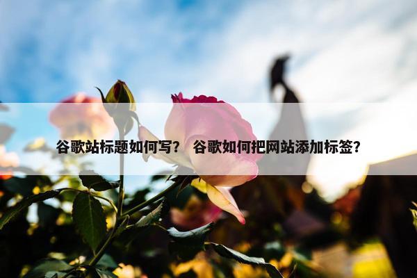 谷歌站标题如何写？ 谷歌如何把网站添加标签？