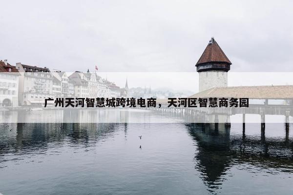 广州天河智慧城跨境电商，天河区智慧商务园