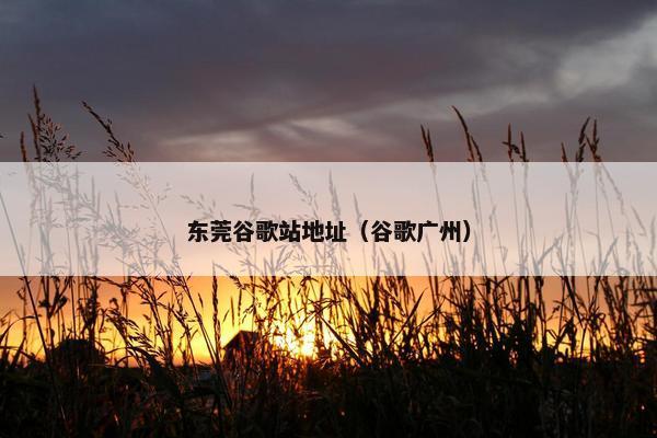 东莞谷歌站地址（谷歌广州）