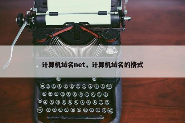 计算机域名net，计算机域名的格式