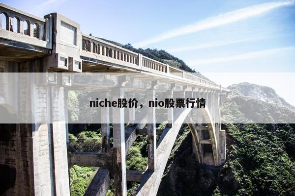 niche股价，nio股票行情
