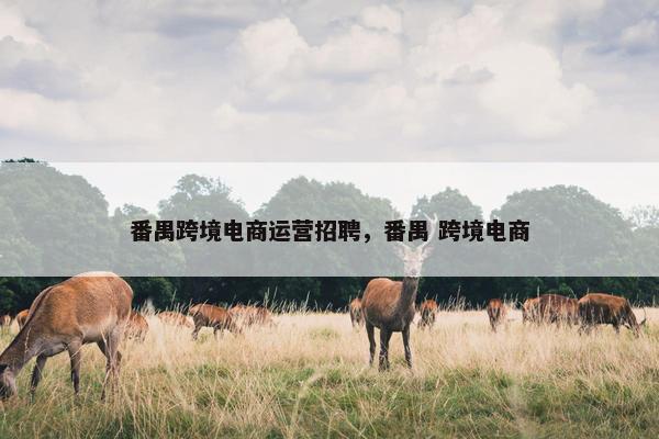 番禺跨境电商运营招聘，番禺 跨境电商