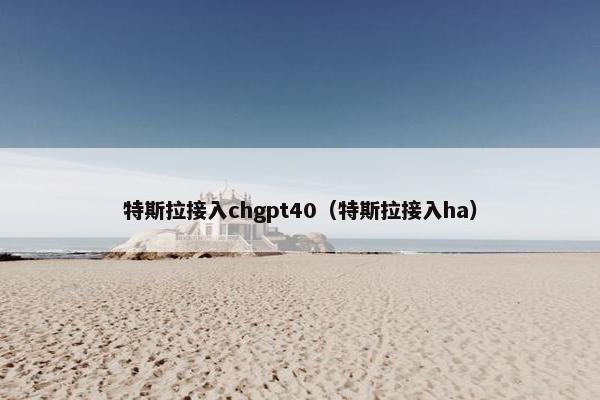 特斯拉接入chgpt40（特斯拉接入ha）