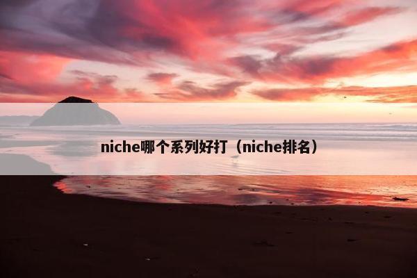 niche哪个系列好打（niche排名）