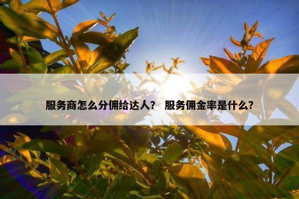 服务商怎么分佣给达人？ 服务佣金率是什么？