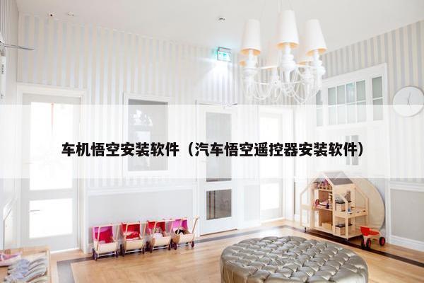车机悟空安装软件（汽车悟空遥控器安装软件）