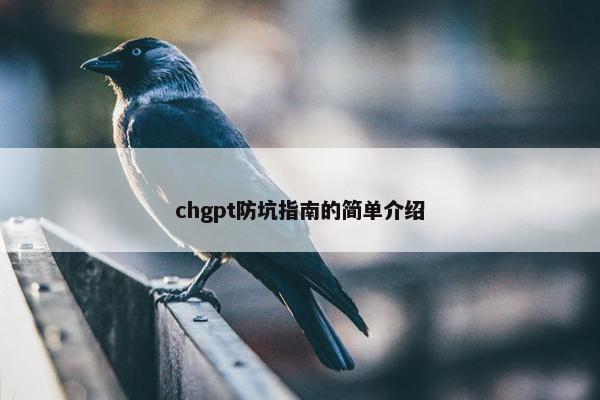 chgpt防坑指南的简单介绍
