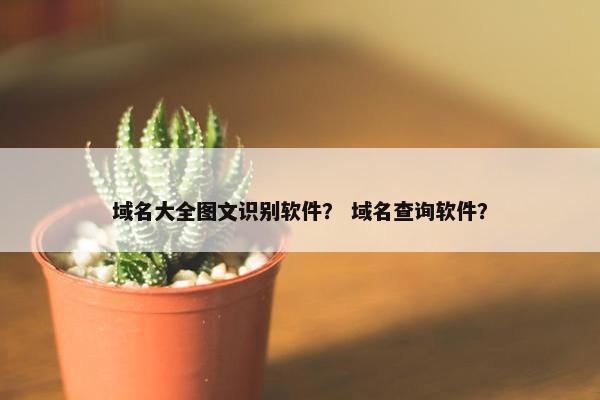 域名大全图文识别软件？ 域名查询软件？