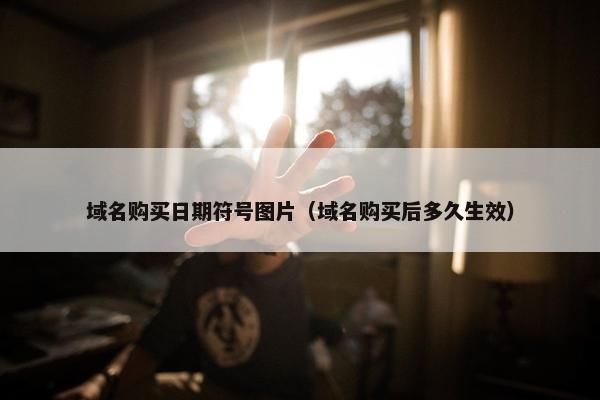 域名购买日期符号图片（域名购买后多久生效）