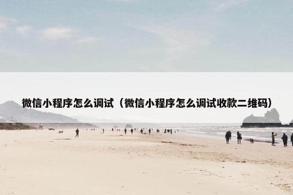 微信小程序怎么调试（微信小程序怎么调试收款二维码）