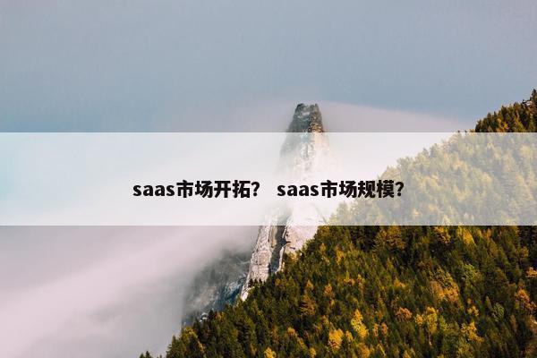 saas市场开拓？ saas市场规模？