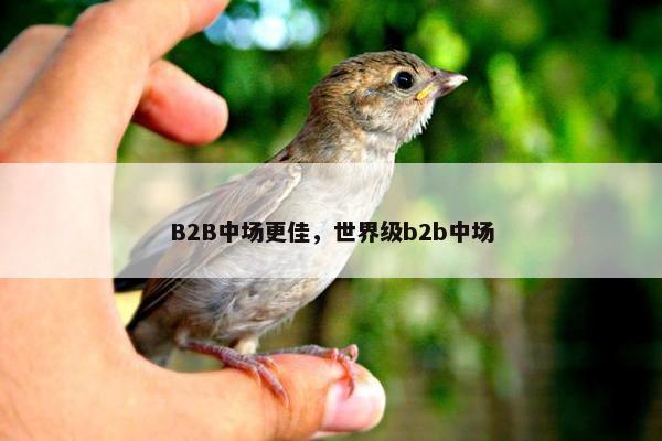 B2B中场更佳，世界级b2b中场