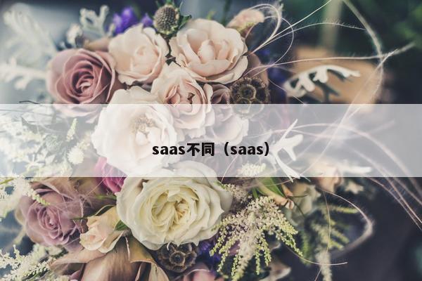 saas不同（saas）