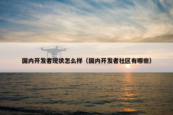国内开发者现状怎么样（国内开发者社区有哪些）