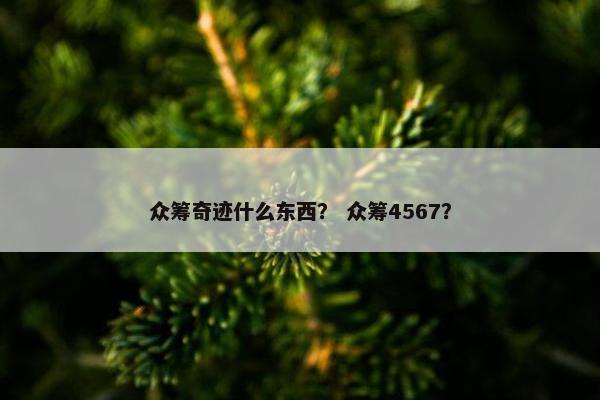 众筹奇迹什么东西？ 众筹4567？