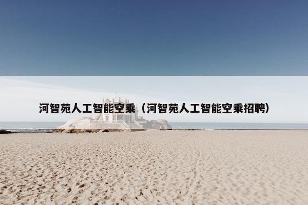 河智苑人工智能空乘（河智苑人工智能空乘招聘）