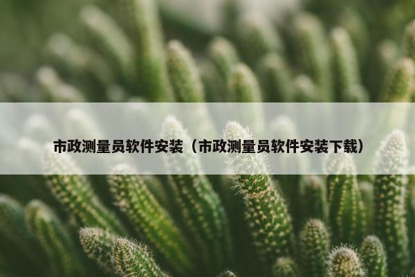 市政测量员软件安装（市政测量员软件安装下载）