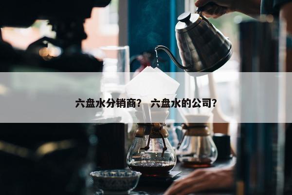 六盘水分销商？ 六盘水的公司？