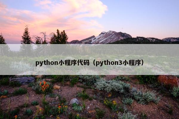 python小程序代码（python3小程序）