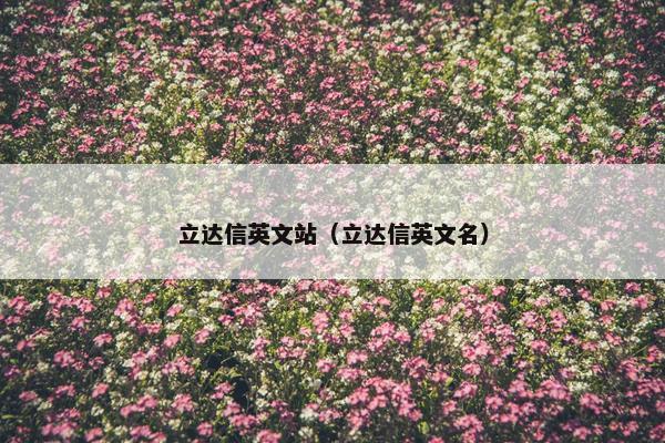 立达信英文站（立达信英文名）