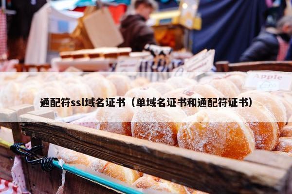 通配符ssl域名证书（单域名证书和通配符证书）