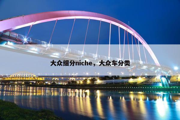 大众细分niche，大众车分类