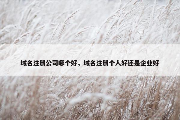 域名注册公司哪个好，域名注册个人好还是企业好