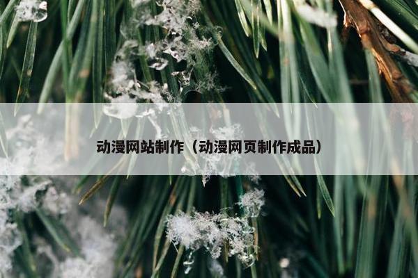 动漫网站制作（动漫网页制作成品）