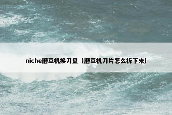 niche磨豆机换刀盘（磨豆机刀片怎么拆下来）