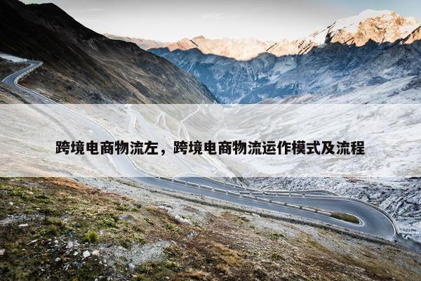 跨境电商物流左，跨境电商物流运作模式及流程