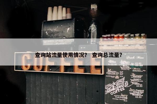 查询站流量使用情况？ 查询总流量？
