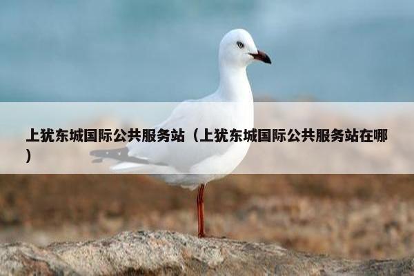 上犹东城国际公共服务站（上犹东城国际公共服务站在哪）