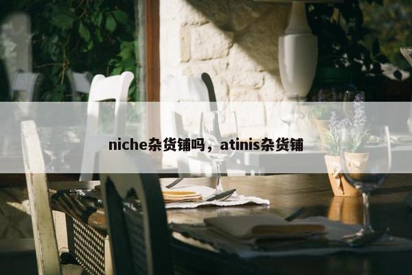 niche杂货铺吗，atinis杂货铺