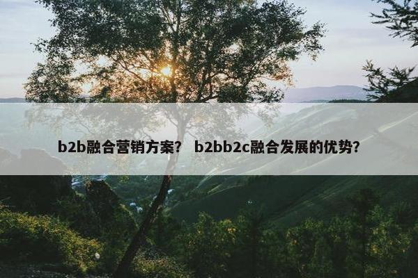 b2b融合营销方案？ b2bb2c融合发展的优势？